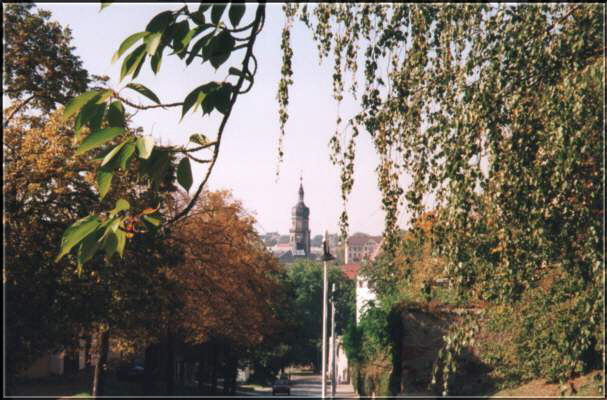 Bildergalerie Altenburg